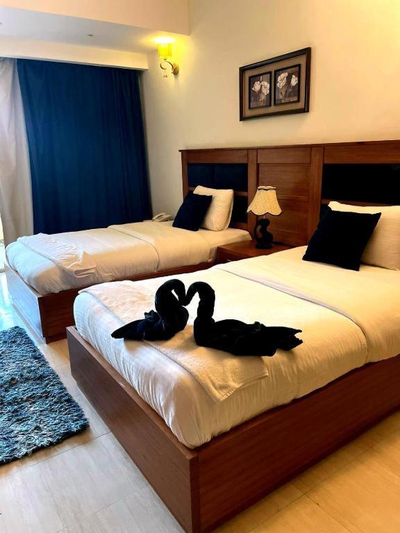 הורגהדה Palma Vision Hotel Inside Palma Resort & Diving Club מראה חיצוני תמונה